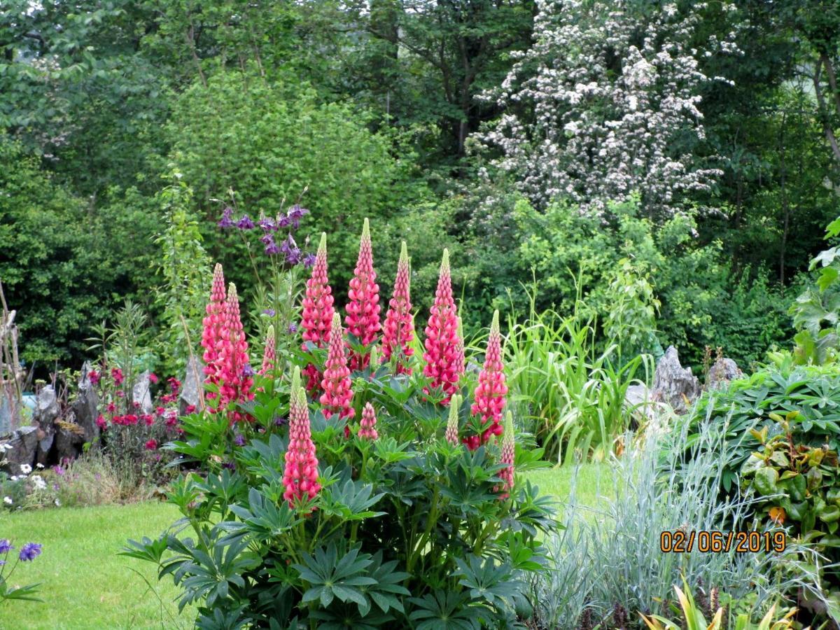 Pentre Isaf Bed & Breakfast Conwy Eksteriør bilde