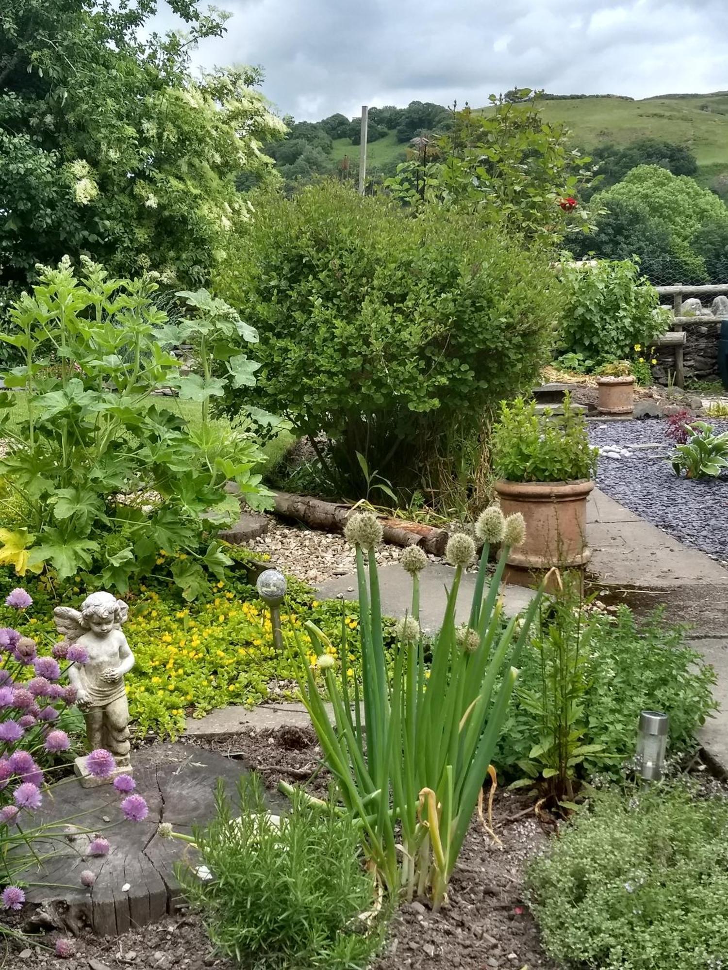 Pentre Isaf Bed & Breakfast Conwy Eksteriør bilde
