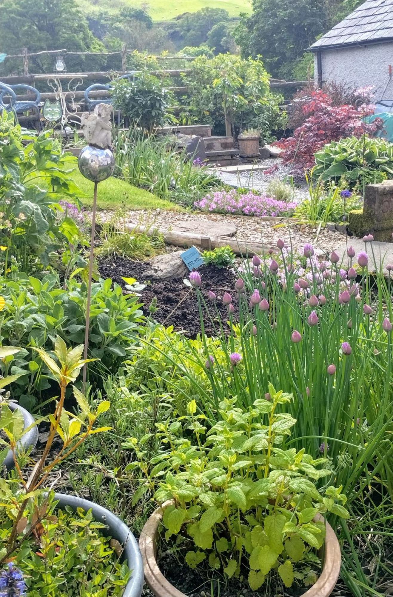Pentre Isaf Bed & Breakfast Conwy Eksteriør bilde